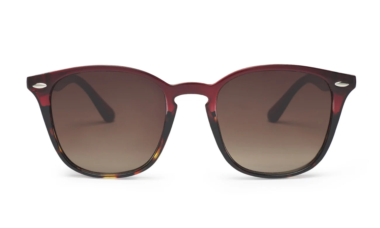 Gafas de Sol Cooper Burdeos