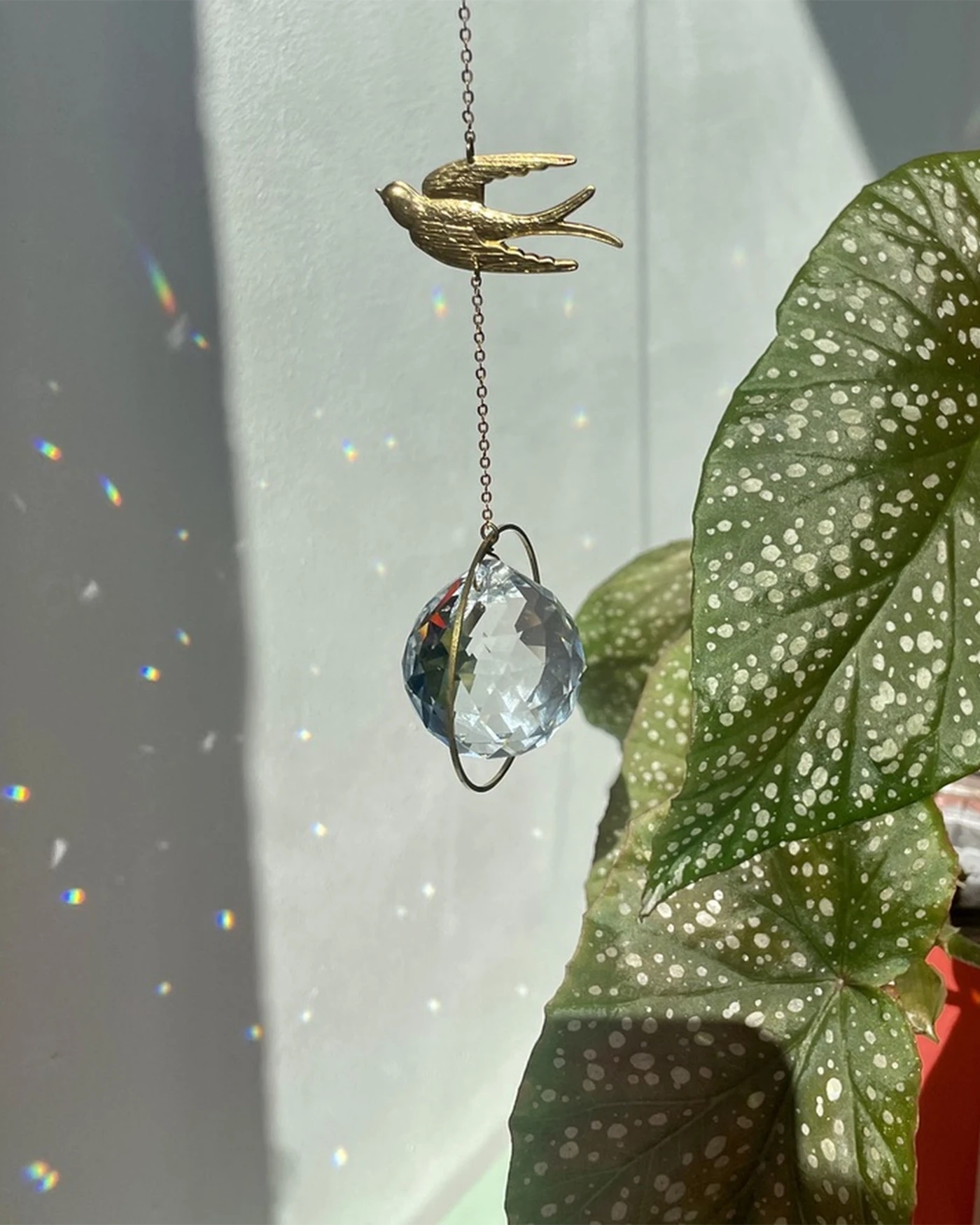 Atrapasol Golondrina