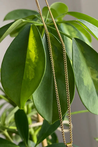 Collar artesanal de semilla de palmera