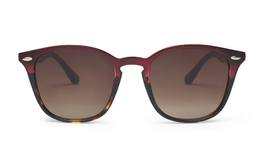 Gafas de Sol Cooper Burdeos