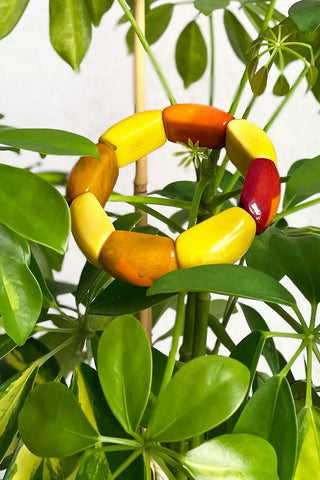 Pulsera de semillas de palmera