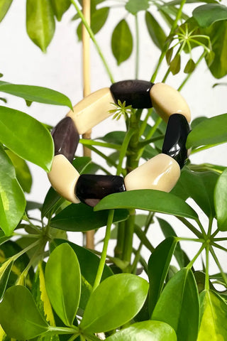 Pulsera de semillas de palmera